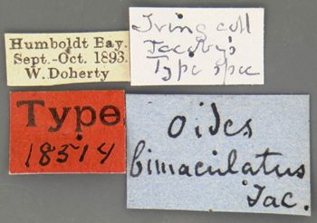 Media type: image; Entomology 18514   Aspect: labels
